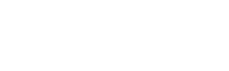 vivessano